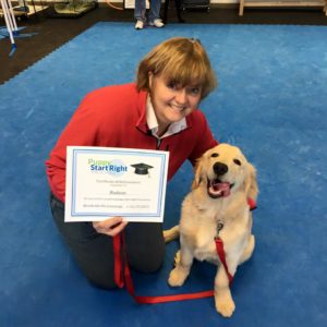 Barbara Bowen Miller, CPDT-KA, KPA CTP, CNWI, Elite Fear Free, AKC CGC Evaluator